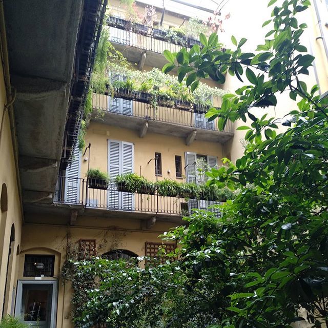 I cortili della vecchia Milano e il loro fascino, vieni a scoprirli con me #milan #milano #italia #italy #cortilimilanesi #cortili #cortilia #piante #ortensie #balconifioriti #balconies #balconi #ringhiere #casediringhiera #casediringhieramilanesi #photo… bit.ly/2EdRNmD