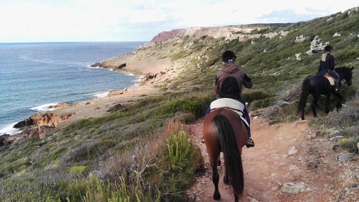 RVEDIPRESS's tweet photo. Rematamos esta apasionante jornada con un agradable paseo a caballo contemplando los acantilados de la costa norte menorquina. ¡Otra experiencia única en la #isla del #deporte! @TurismoMenorca #RunCdC2019 #RVContigo https://t.co/TYP0MDkLZs