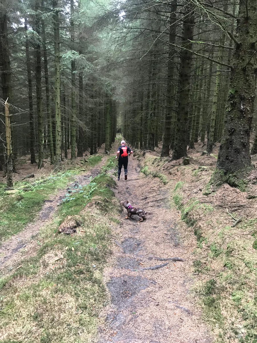 AndrewJames18's tweet photo. Top 10k red route run and then 10mile pedal @OPALlandegla today with @JennyTinmouth ... twas grand thanks, fitness feels good and will improve #trainingagain #pedal #mtb #run #lycra #mog https://t.co/qk1VsCCJR2