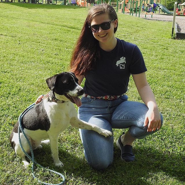 loveshorsesoh's tweet photo. When your dog sees the camera and starts posing 😂.
Proud to represent: 
@c4beltseq - c4H6224
@buckwildbreeches - https://t.co/v5y5FcmNRo
@baysandbluesco - HANNAH10 https://t.co/0AtpvwAGVS https://t.co/MBi6KI40qa