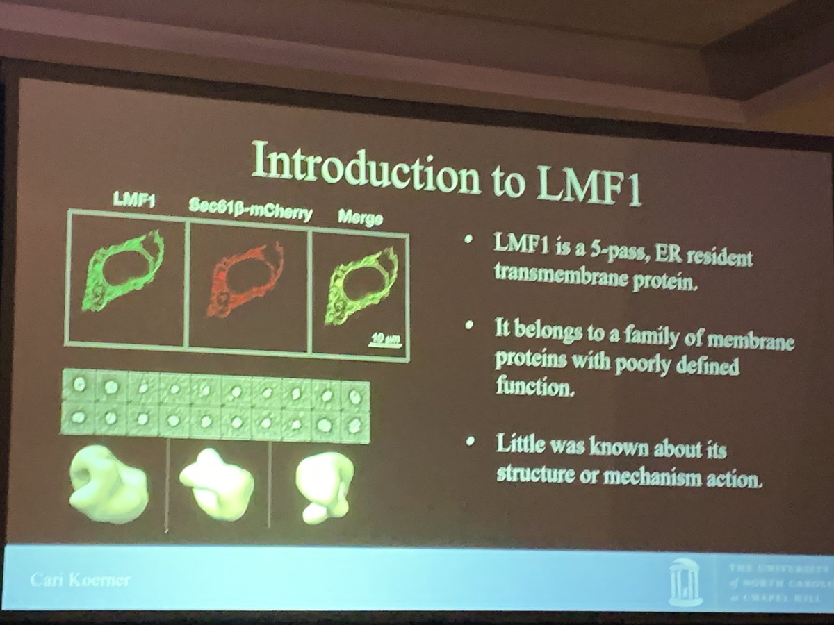 Dr. Saskia Neher explaining #lipoproteinlipase #folding mechanisms mediated by #lmf1 and its implications for pathology #NLASessions @nationallipid