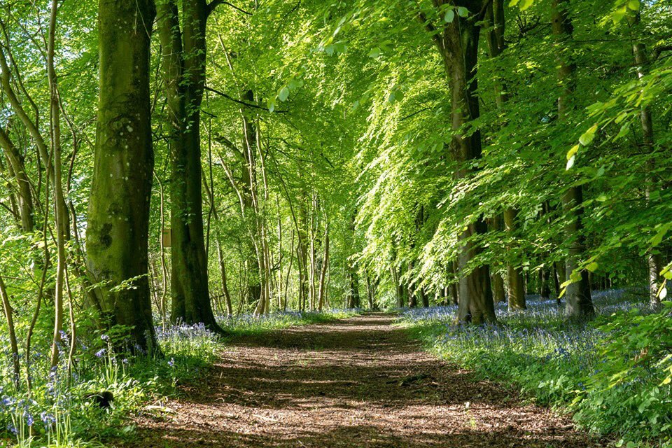 James Pyle & Co tweet media