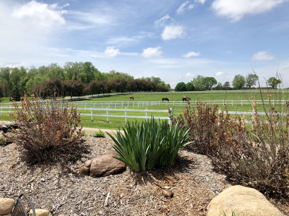 AprilBetzer's tweet photo. I get so sad when it comes time to leave. I think I’ll just move in.
#StrandsArabians
#LittlePieceofHeaven
#DontMakeMeGo
#BeBackSoon
#ByeByeHorses https://t.co/9yhBDjnkNQ