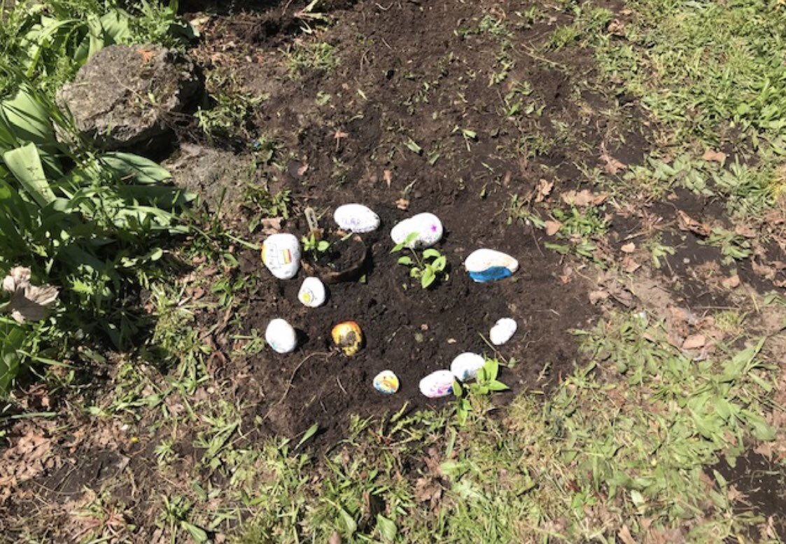 Everything is coming up flowers in our front yard at Rockcliffe. Thanks to Ms.Jones and her girls group! 🌷