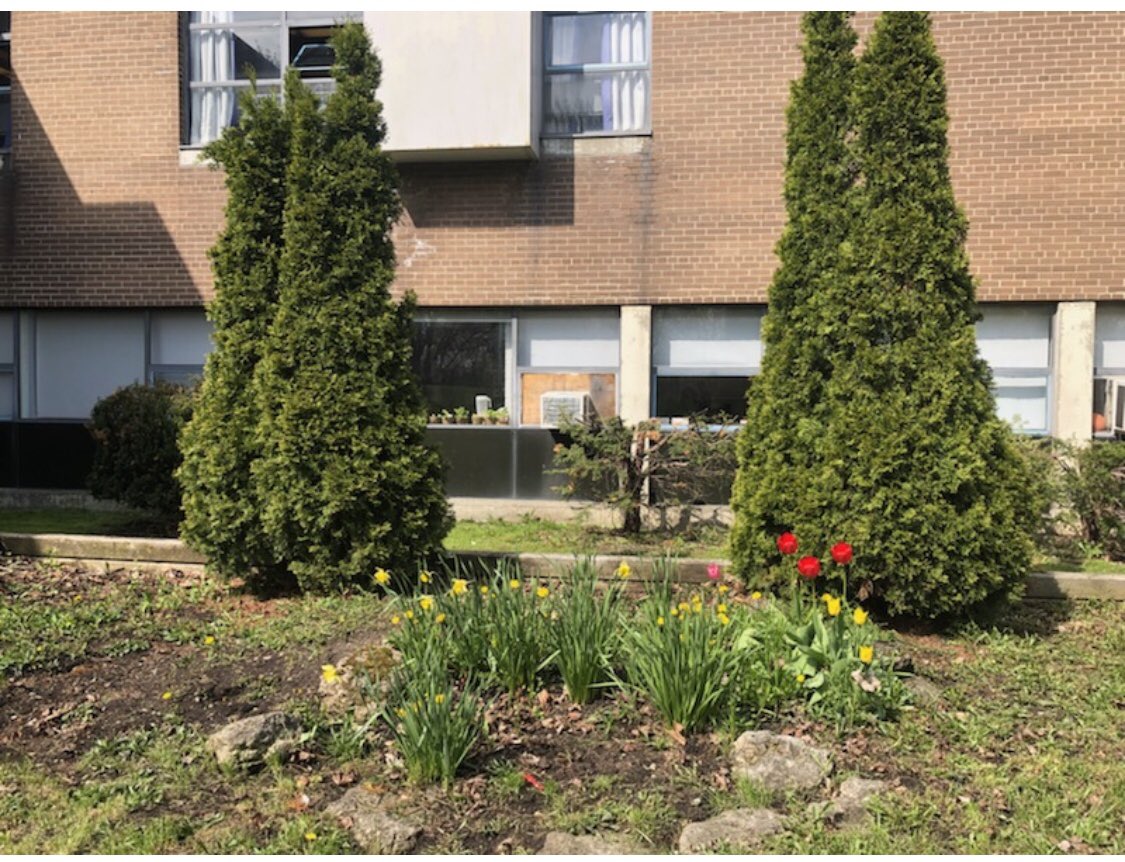 Rockcliffe tweet media