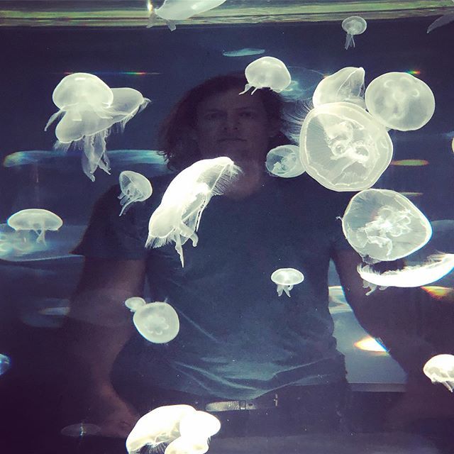 The_Currys's tweet photo. We are in Chattanooga this weekend showcasing and hearing a bunch of great folk tunes at @serfafai. We also stole away to take some super-villain shots at the @tennesseeaquarium. #jellyfishboiz #serfa19 #tennesseeaquarium #chattanooga https://t.co/j5uG8xe1Dk https://t.co/u85YOK3XCr