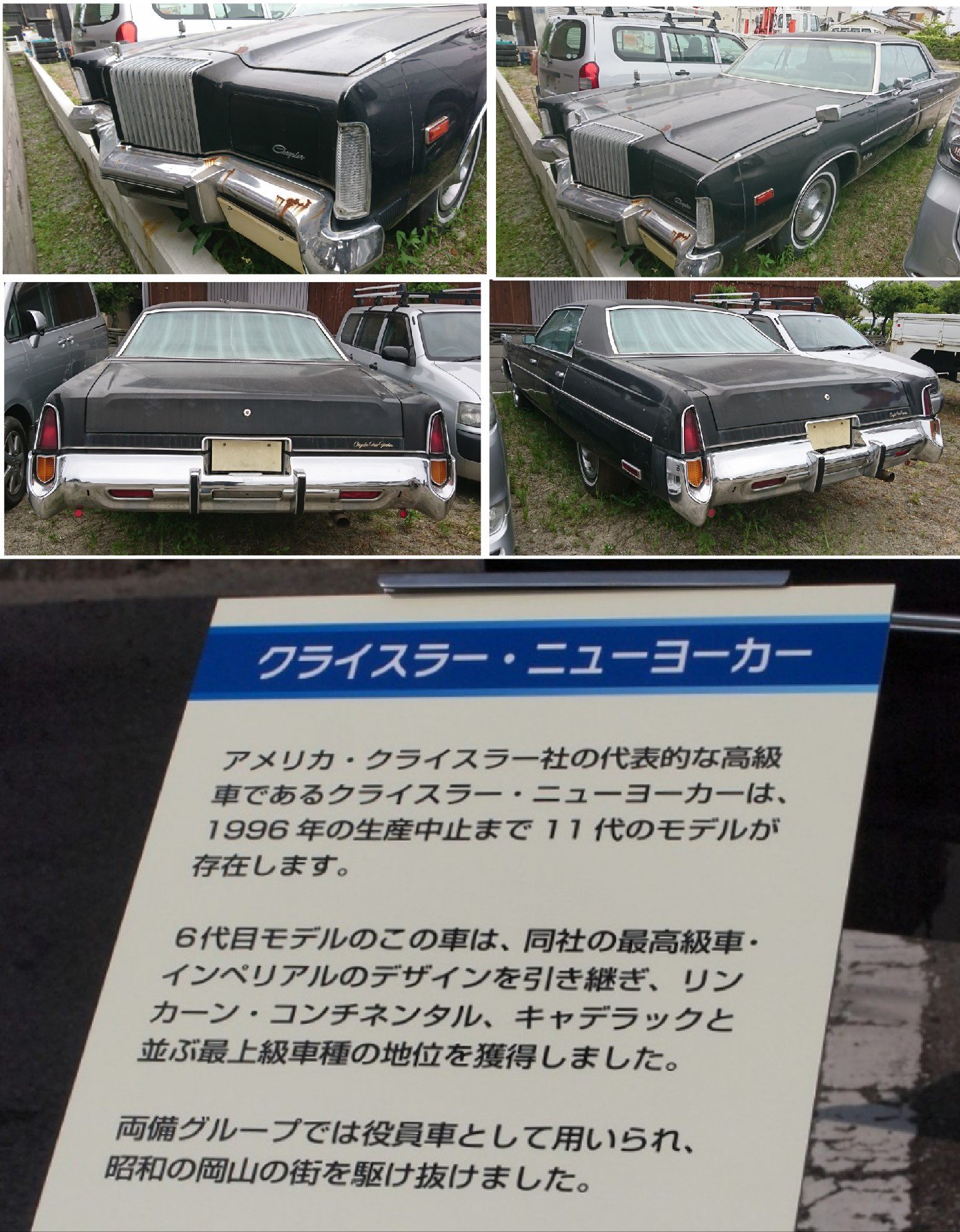 Kp61 とがった ビックなアメリ車 かっこいい アメ車 高級車 高額車 高額な車 名車 昭和 クライスラーニューヨーカー クライスラー ニューヨーカー 大きな車 昭和の車 草むら 草ヒロ ノスヒロ オールドタイマー 両備