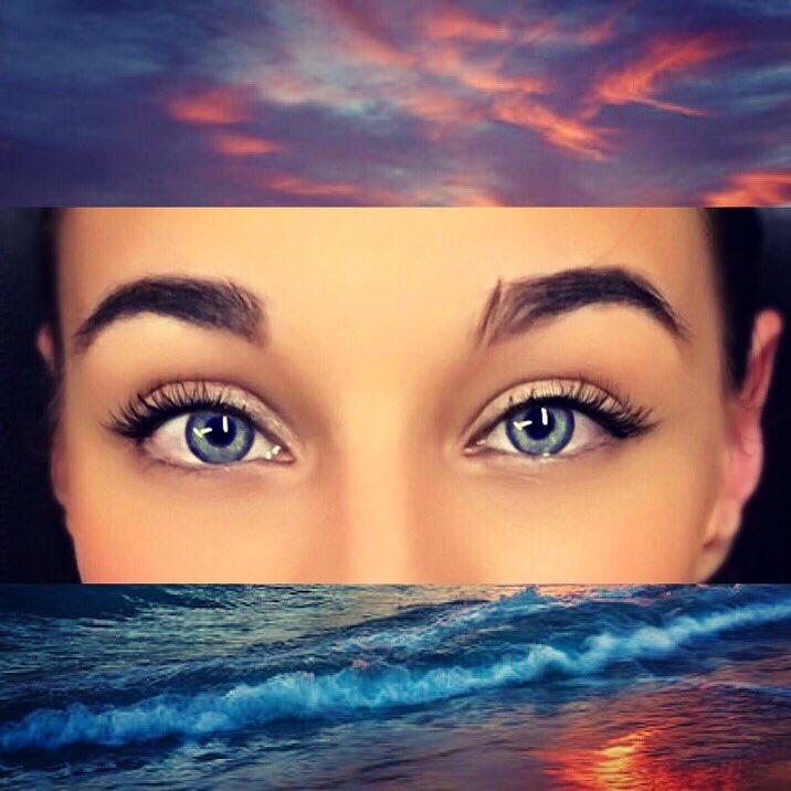 Jessy Knuckles tweet media