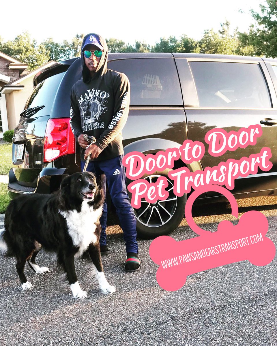 pawsandearspet's tweet photo. Connect with safe, positive-rated, professionals. #1 Trusted Pet Transport Services in America! (407) 502-7700!

#pawsandears  #pettransport #thepettransporter #groundtransport #petdelivery #doortodoor #pettransportation #pettransporters #pettransportservice #pettransporter https://t.co/xtT20DPku5