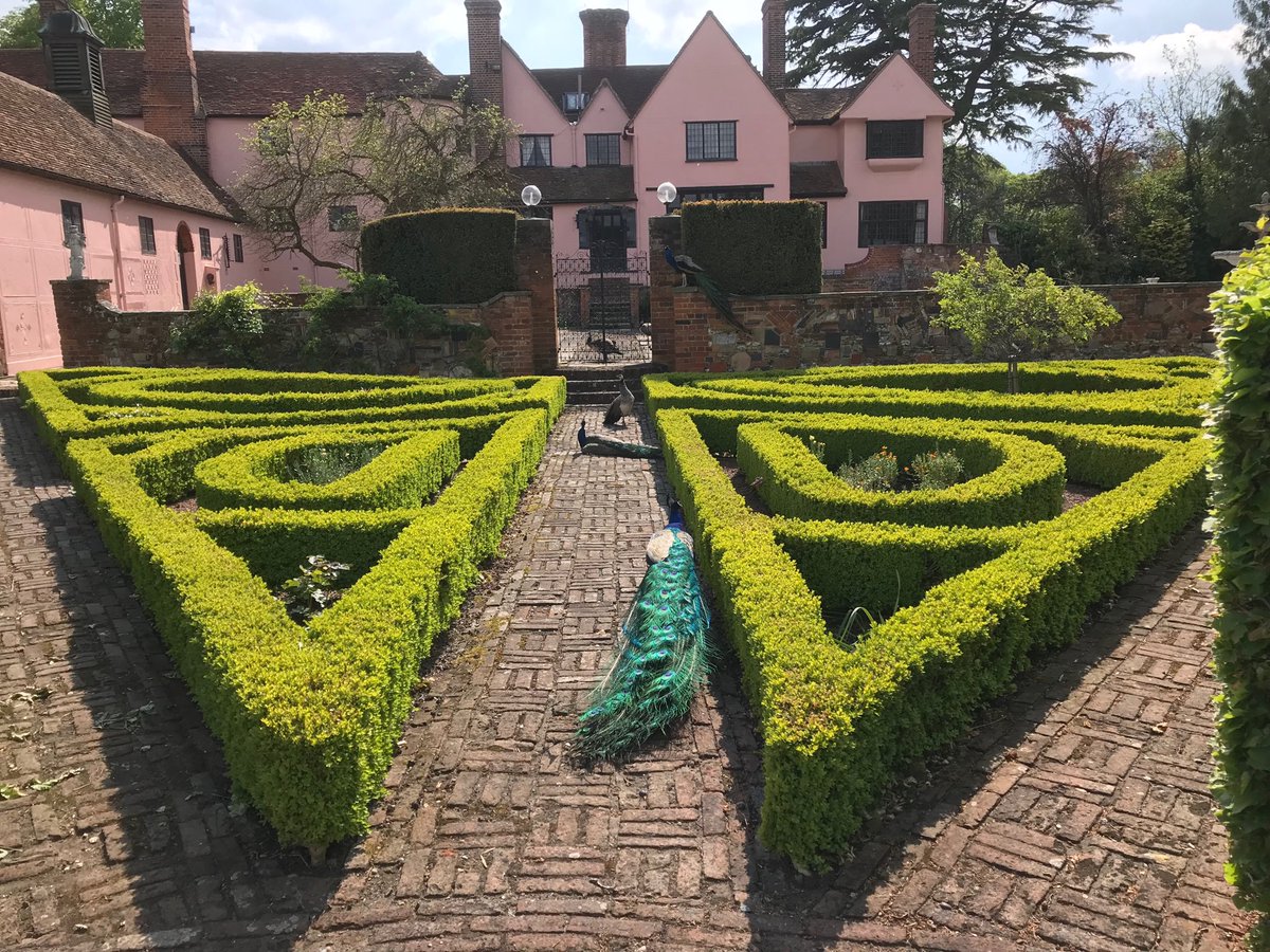 MelanieR64's tweet photo. Our Peacocks are making themselves feel at home 🏡 at #littleeastonmanor https://t.co/naV66gXMkB