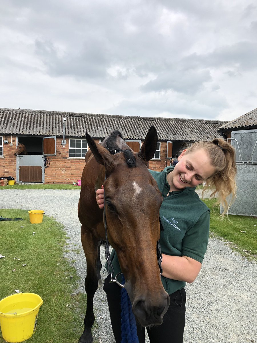 Shulton_Fay's tweet image. Only been 770days since Donald last saw a race track and could not be any more happier with his run today love this little boy😍 @BangorRaces #DeputyCommander #3rd🥉 #turnoutking