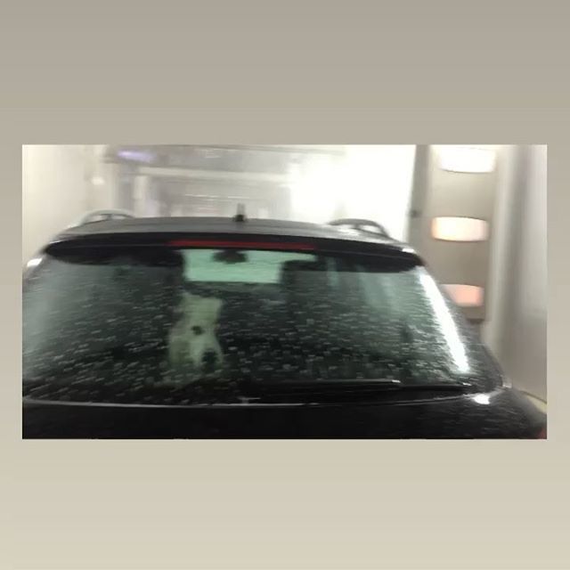 tweet_wash's tweet photo. softwashing 
#nanowash 
#carwash 
#clean 
#cleancar 
#softwashexpress
#puurglans
#razendsnel
#gratisstofzuigen
#supercar 
#wedetail https://t.co/m4sTbP7yKr