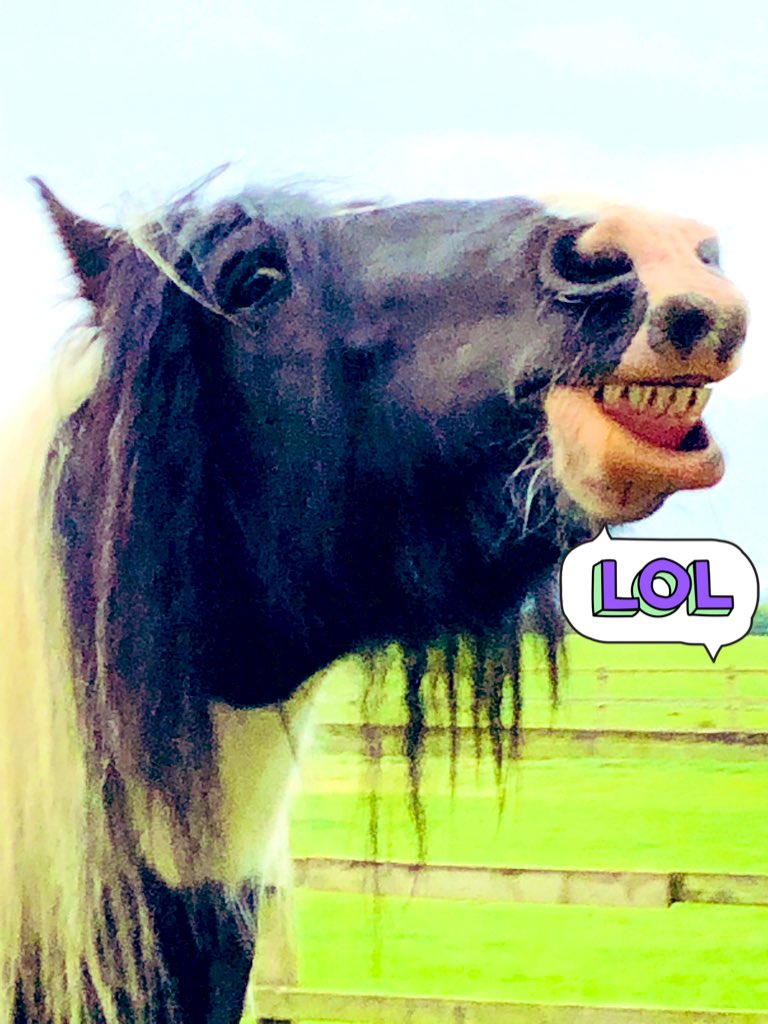 2night our famhums popped along to give us some love, &amp; more importantly, fruit &amp; veg. It was lush! Sorry my hair is a mess but my bobble has twanged &amp; gone. <a href="/PonyTommyboy/">TommyboyPony</a> <a href="/aponyhour/">#ponyhour</a> #ponyhour <a href="/archiesauraus/">Archie the Suffolk 🐴</a> <a href="/tommy_pegasus/">Tommy</a> @HumbugToby <a href="/KingsTroopRHA/">The King's Troop RHA</a> @NPMounted <a href="/ASPoliceHorses/">ASPoliceHorses</a>