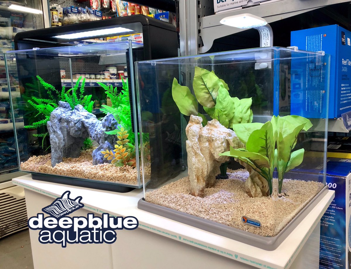 deepblueaquatic's tweet photo. Aquariums set up dry, gravel, plants and £10 fish voucher ready to go. Just add water when you get home!
#fishshop #marinefish #TMC #deepblueaquatic #hemelhempstead #hemel #tropicalfish #fishtank #picoftheday #aquarium #coral #marinefish #mickstudiomix #goldfish #guppy https://t.co/ZfKHrB5rsz