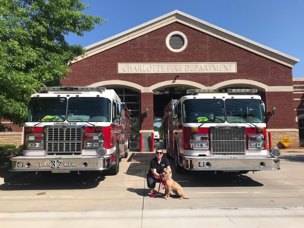 animals_clt's tweet image. We had a great, albeit hot, day with @charlottefire in Rivergate! 10 of 19 dogs found new homes; including heartworm positive Buddy who will be going through the #Foster2Adopt process. Thank you to CFD for the accommodations &amp;amp; all the volunteers who helped handle our #ACCpups!