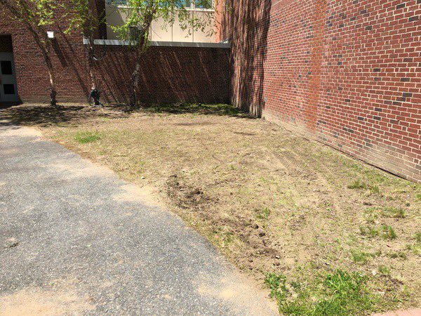 MillburyNHS's tweet photo. Busy day for NHS students. Courtyard cleanup - Joe’s individual service project.  Looks great!! https://t.co/trDFMx8KoS