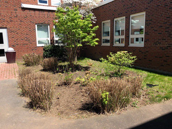 MillburyNHS's tweet photo. Busy day for NHS students. Courtyard cleanup - Joe’s individual service project.  Looks great!! https://t.co/trDFMx8KoS