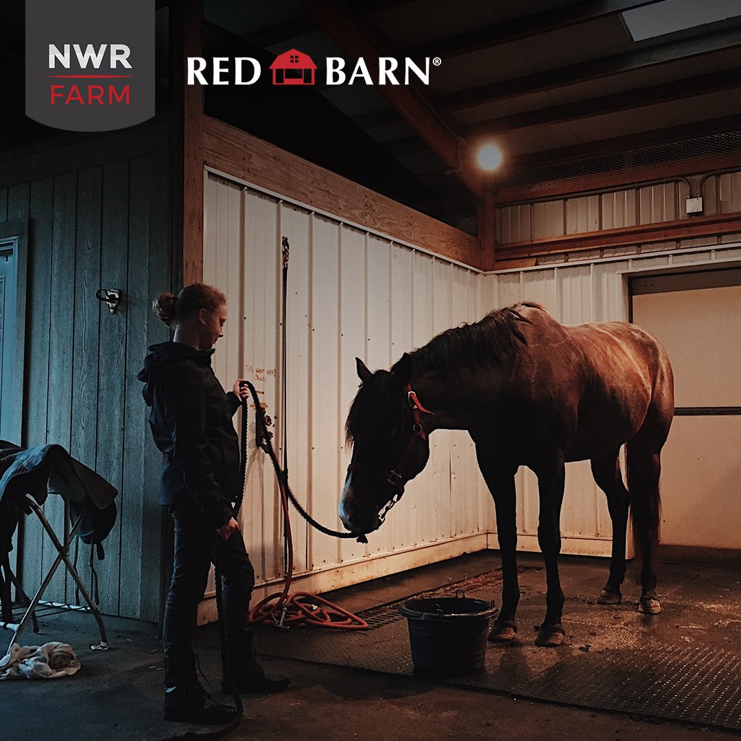 RedBarnMats's tweet photo. After a long day riding, nothing better than some comfortable flooring..  
.
.
.
#horsesofinstagram #riding #equestrian #pony #love #dressage #farmlife #ranch #nwrfarm #redbarn #redbarnmats #stallmat #farm #barn #horse #animals #friends #🐎 https://t.co/bBohI4YO8k