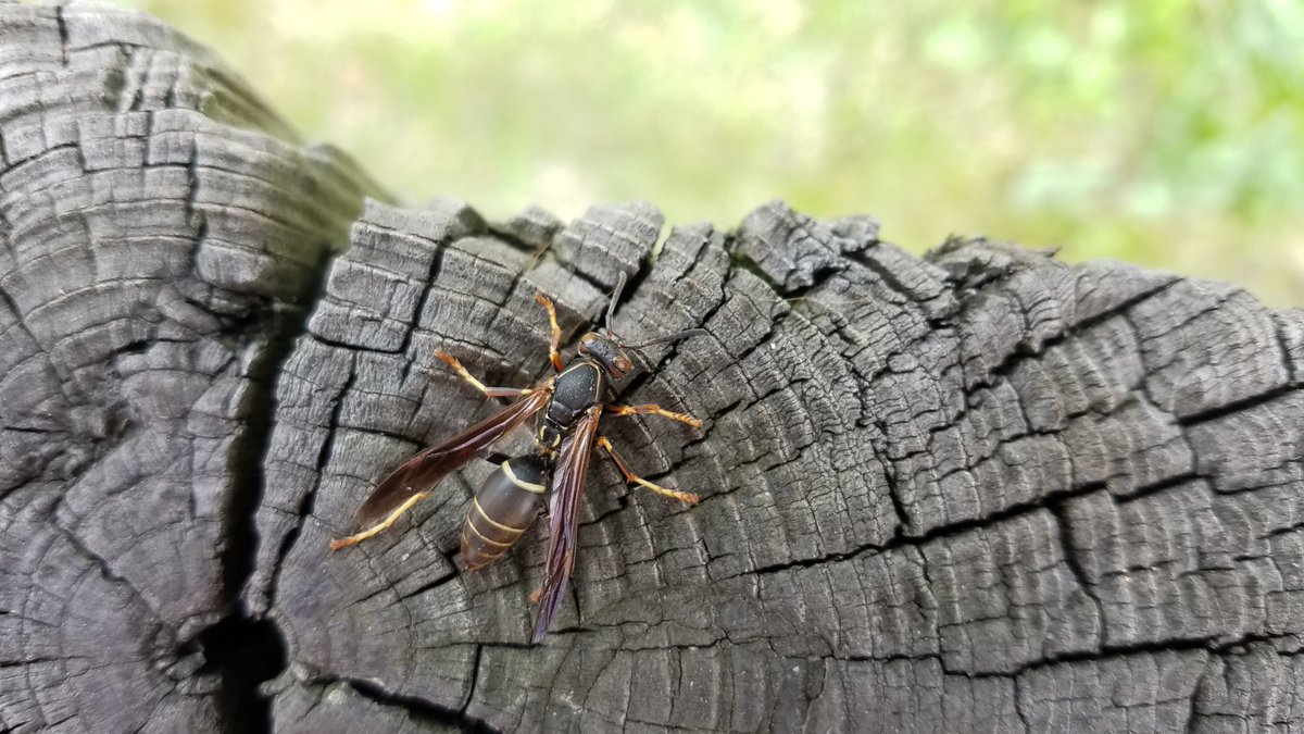 Heather Cray 🌱 tweet media