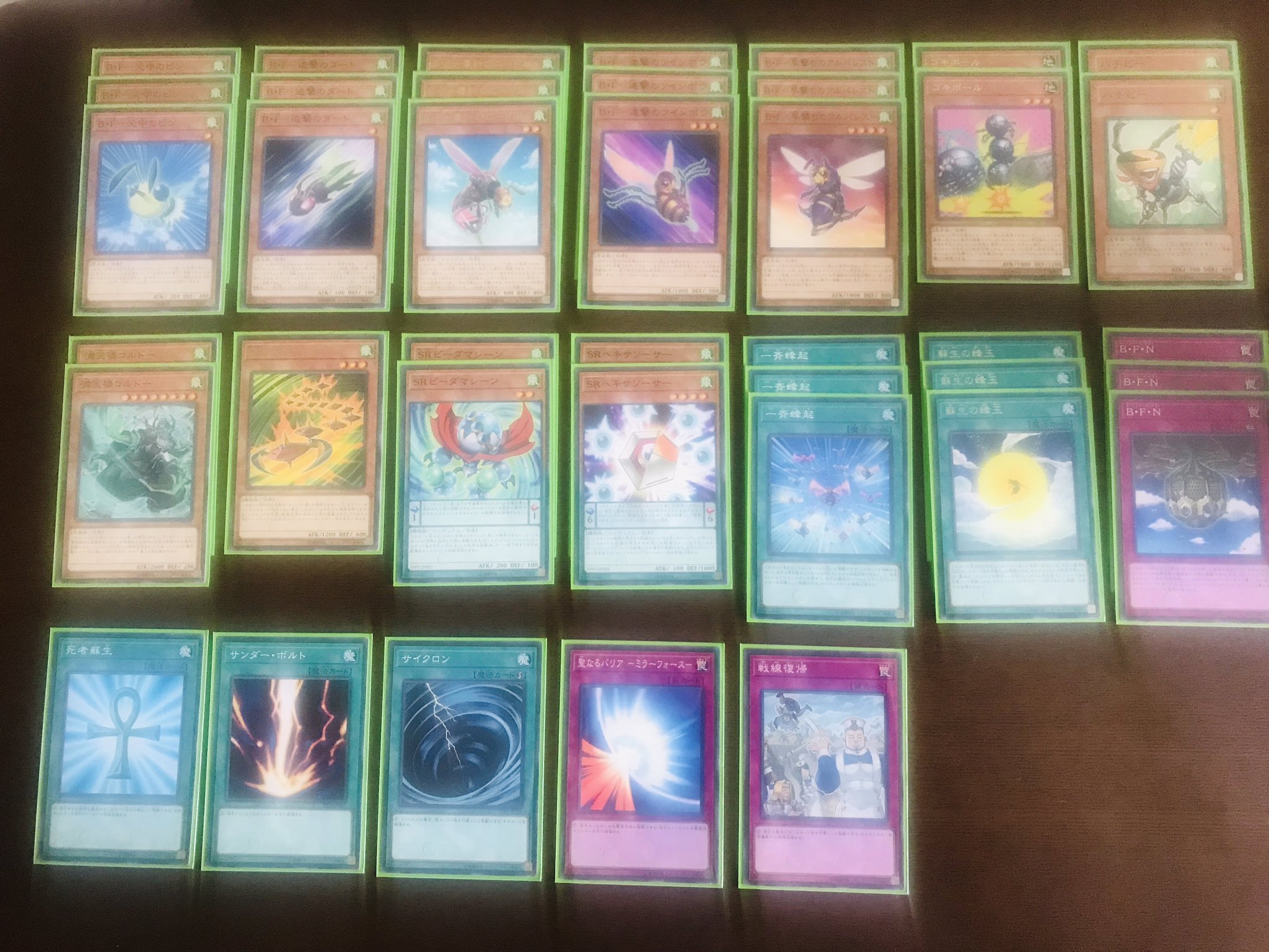 ガロン B F ビーフォース デッキ組んでみました 関連しそうなカードを入れて 単発でツヨい魔法 罠をinしてみました ガチ勢じゃなく 手札誘発は持っていないのでいれていません 悲 遊戯王 革命の決闘者編 デッキ Bf ビーフォース T Co