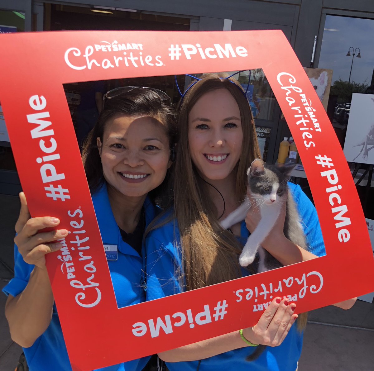 PetsmartQC's tweet photo. Saving life and having fun!  Your adoption Ambassadors at work @PetSmart QC @PetSmartChariTs @LifeatPetSmart #picme @SantanRescue @AZCARE_Rescue https://t.co/pTM1DSDxXv
