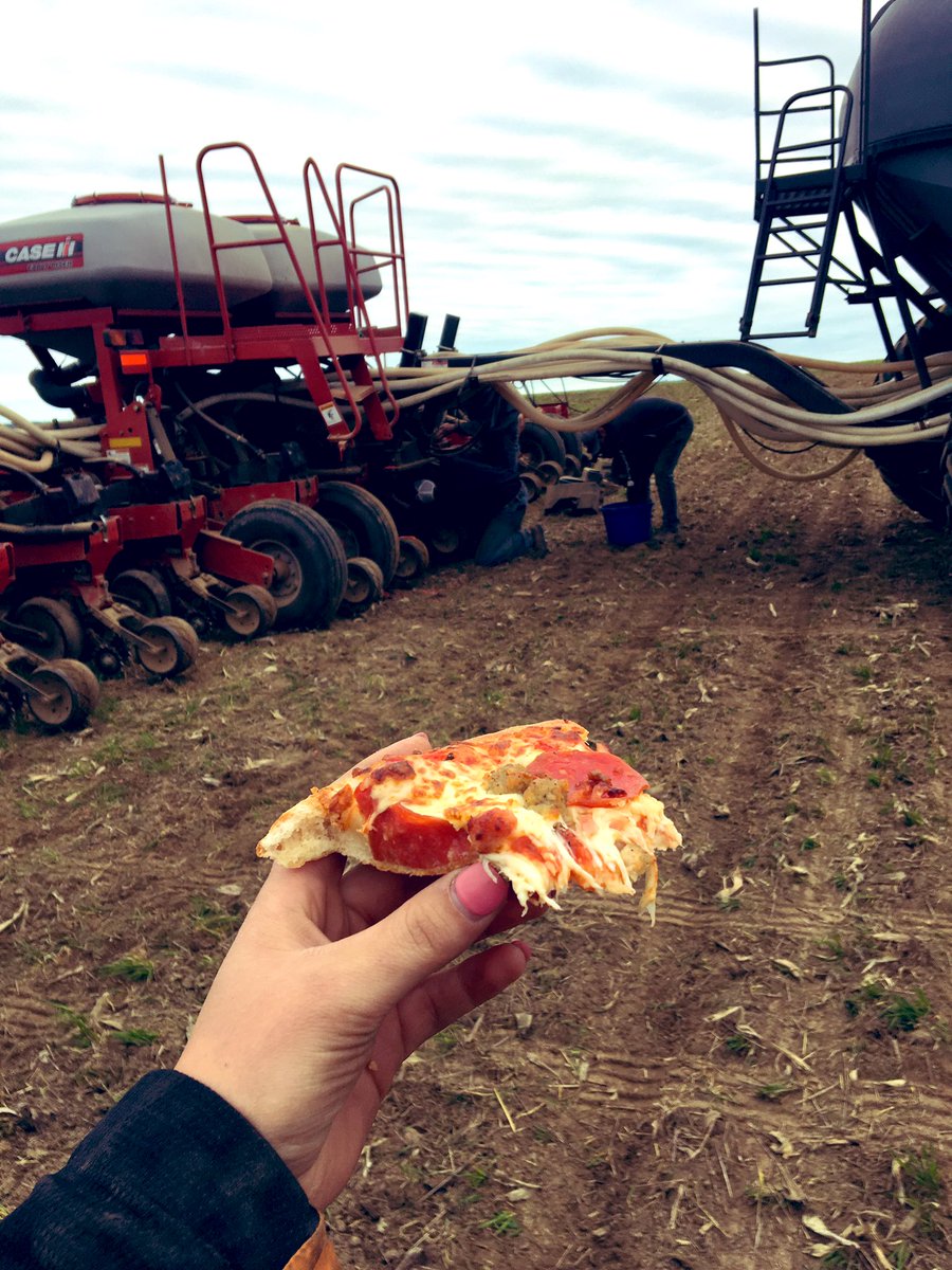 Katie14Grove's tweet image. Turns out I am in charge. #cornplot #delegating #pioneerseed