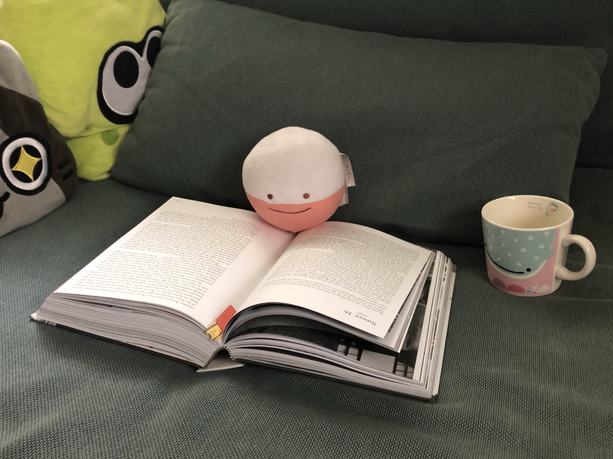 ditto_electrode's tweet photo. nice rainy day for a read https://t.co/ZmWYFEikrb