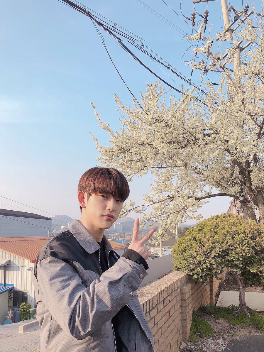 unbleachedpjy's tweet photo. #박진영 #진영 #갓세븐 https://t.co/OBWKVS5qsv