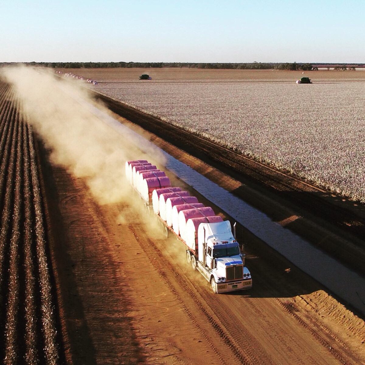 At Southern Cotton, we are ‘tickled pink’ to be supporting the #mcgrathfoundation this #cotton pick. Please donate to this well worthy cause at tamaaustralia.gofundraise.com.au/page/JohnDurham