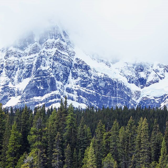 thePainter_'s tweet photo. Welcome to Banff

#Banff #BanffNationalPark #Canada #Alberta #Mountains #trees #ChephrenLake #hike #hiking #adventure #thighDeepInSnow #nature #naturePorn #clouds #snow https://t.co/Y91sUE1LvI https://t.co/rubZoGy6V5