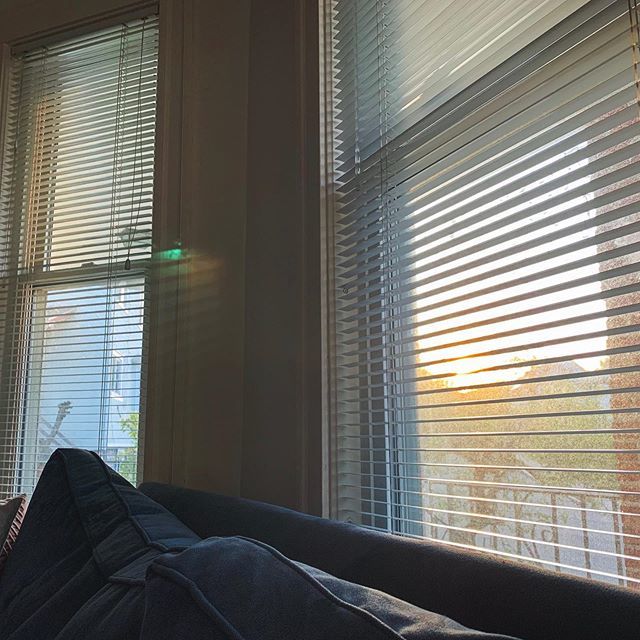 andreasmusings's tweet image. Evening light and quiet, except for the birds chirping outside the window (which is open because today we had beautiful weather). Perfect Saturday evening plans. Who else prefers and evening in? bit.ly/2WjddcE