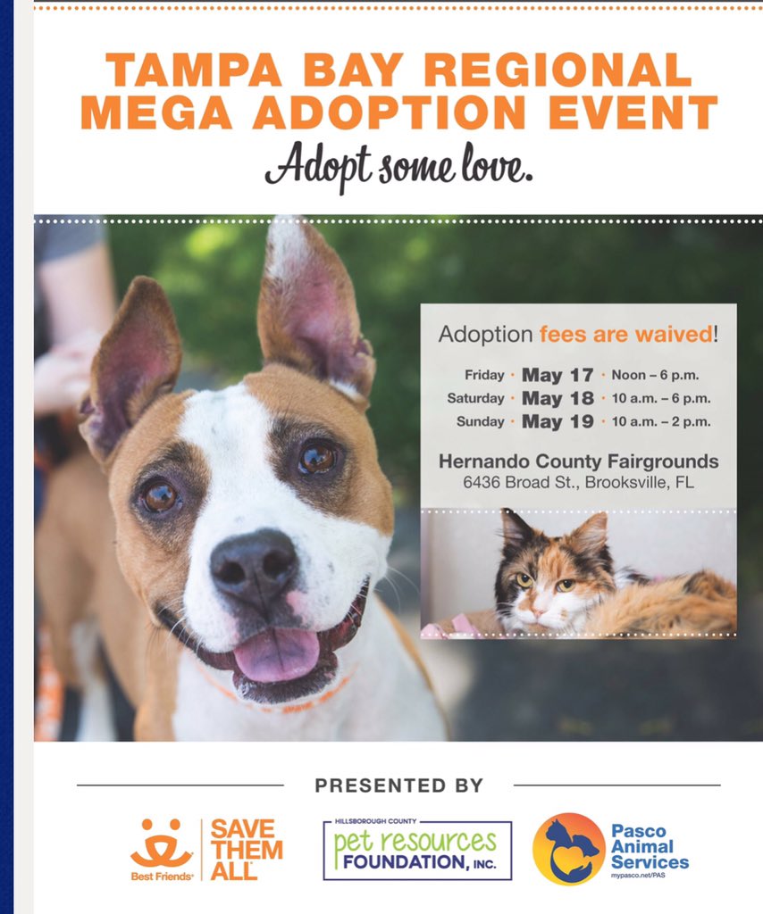 This is an awesome adoption event! We stopped by today and they’re doing great. It was amazing to see how many animals had already been adopted! The event is going on tomorrow if you’re interested in a new furry friend! They have some pretty cute ones! pascocountyfl.net/408/Animal-Ser…