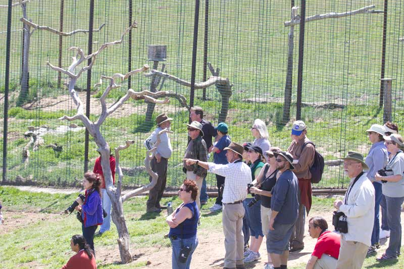 MacduffSteven's tweet photo. Friends of the California Condor offers free historical and scientific lectures! As well as Condor Tours! https://t.co/H0Wn69O683 https://t.co/zekUToVwnr