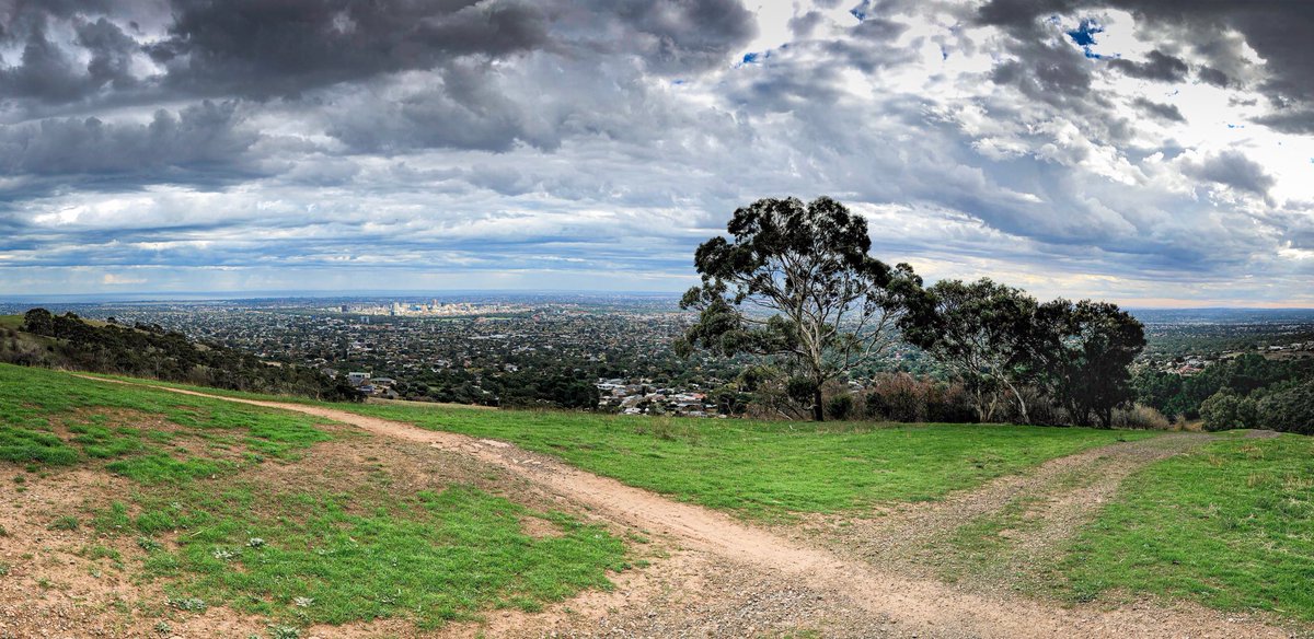 angusmeek's tweet photo. Watching the storm clouds roll in from Mt Osmond. #Panorama https://t.co/oLxgfuWSaq
