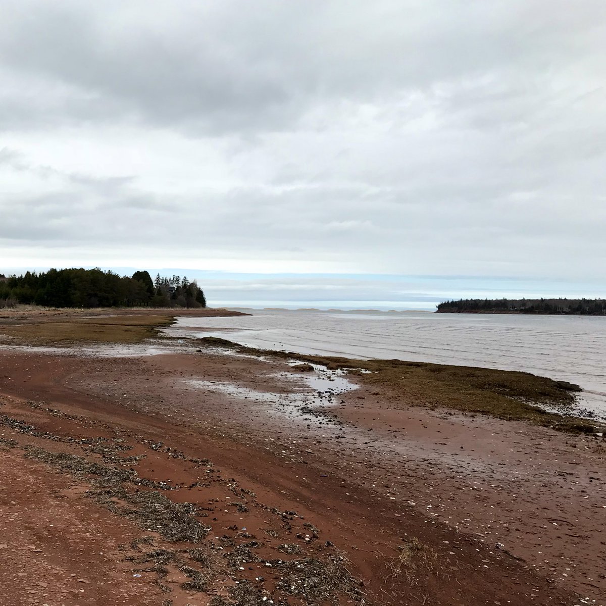 joshmacfadyen's tweet image. A little break from writing to compare a few PEI north shore landscapes to the 1968 historical aerial photos in #hGIS #iGIS