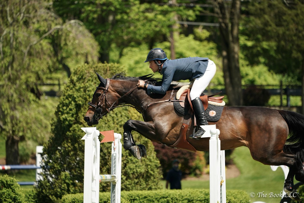 jumpmediallc's tweet photo. Daniel Bluman and Sancha LS Claim $35,700 Old Salem Farm Jumper Classic CSI3* at Old Salem @oldsalemfarmny: https://t.co/bF8CiyZYk2 #OSFspring https://t.co/FoXeMSpUBD