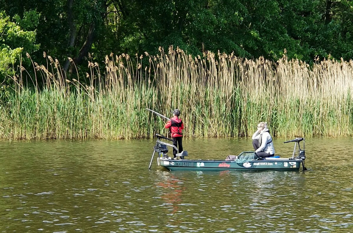 mike_Iaconelli's tweet image. So super proud of this kid! At 8 years old, Vegas fished his first tournament today and ended up in second place! He worked hard, made good decisions, and most of all he had FUN! Also a BIG shout out to his boat captain who also happens to be his mom! @Beckanelli #getkidsfishing