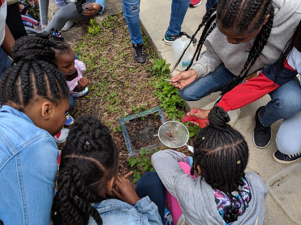 dbild's tweet photo. @NatureMuseum @AftrSchoolMttrs #CASteens had an awsm time today teaching families from @ChicagoCYC how they study worms, birds, turtles, and aquatic macroinvertebrates right here in Chicago #RemakeLearningDays #RemakeDaysChi https://t.co/k5a6gd3b4W