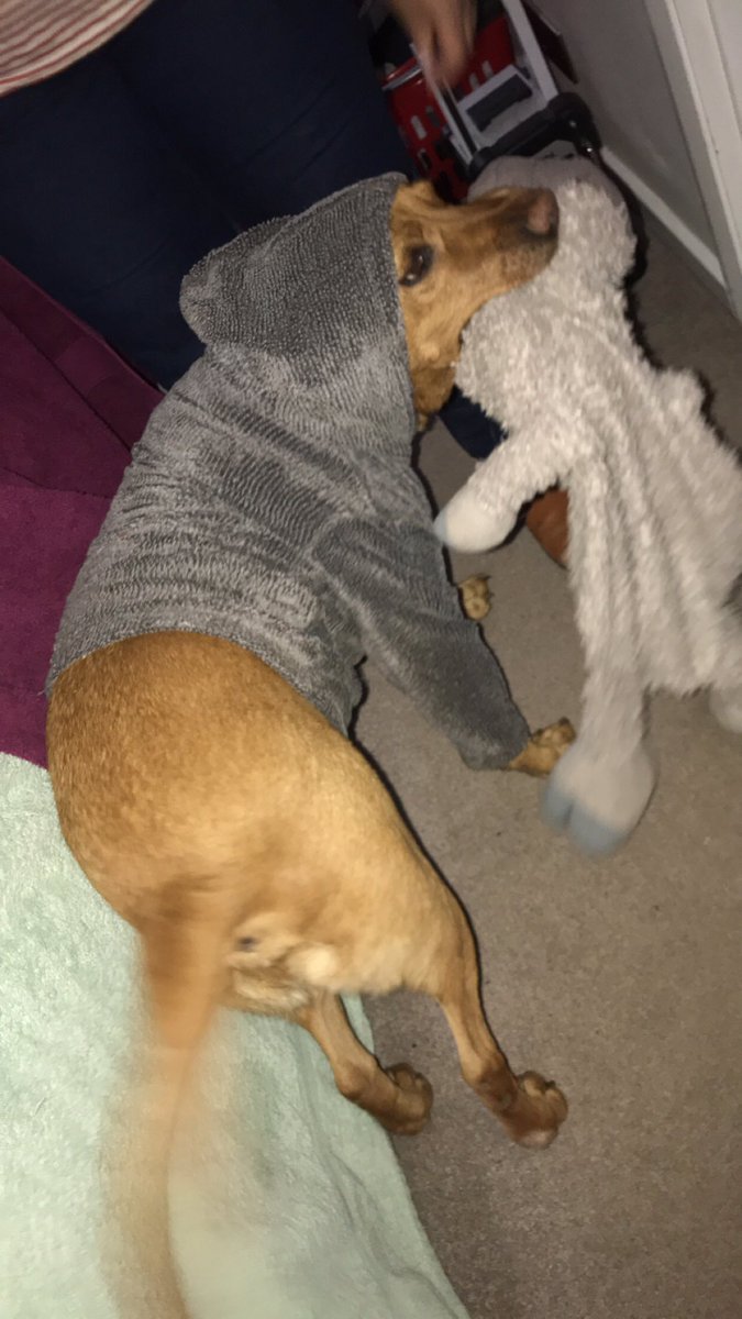 JonnyOBoyle17's tweet photo. Here, so me mam found this hoodie that me and me brother wore when we were babies, and she wanted “all of her boys to wear it”..... https://t.co/JOO6vEaasO
