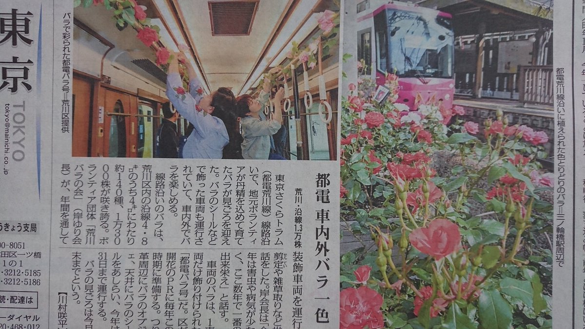 バラの市 バラの市