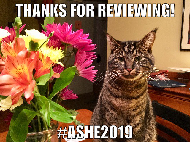 AshePresident's tweet photo. Thanks to the hundreds of @ASHEoffice members who completed thousands of reviews for #ashe2019! #firstcatofashe https://t.co/qLLXRxnoBR