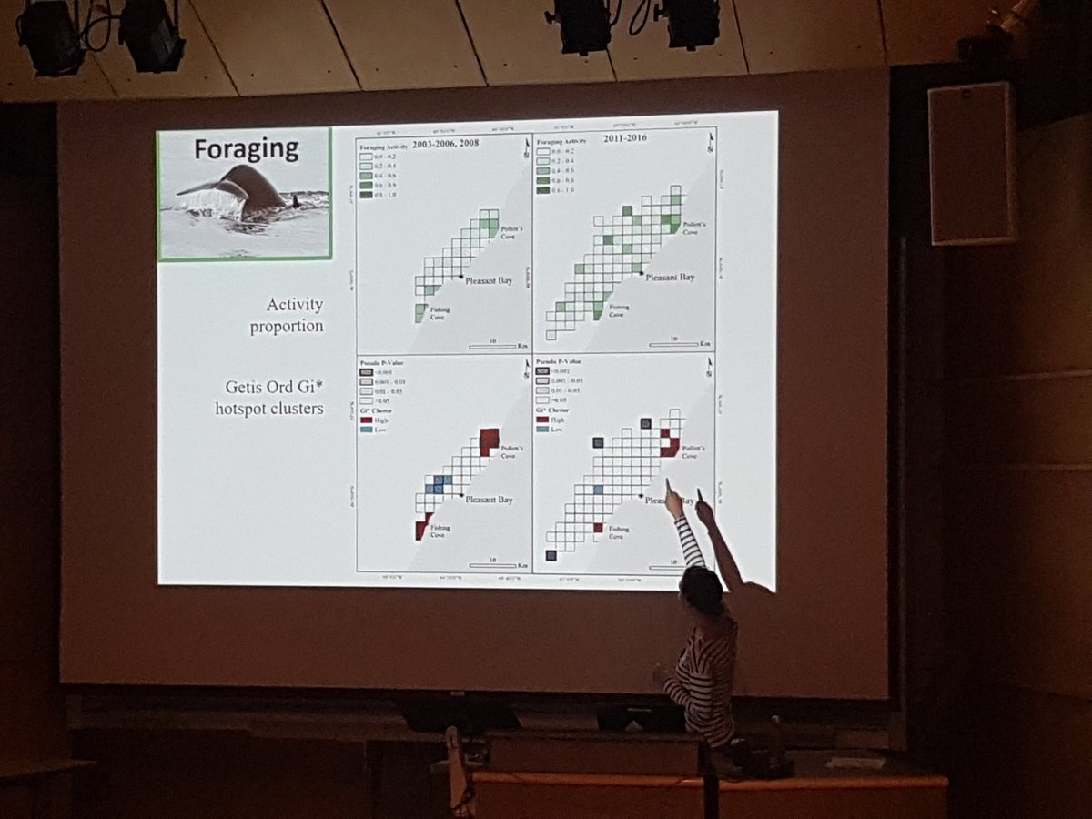 ArtistSarahMT's tweet photo. Hotspots of #pilotwhale #foraging behavior @ #NWSSMM π¦ππ¬ https://t.co/GzKqlrYptr