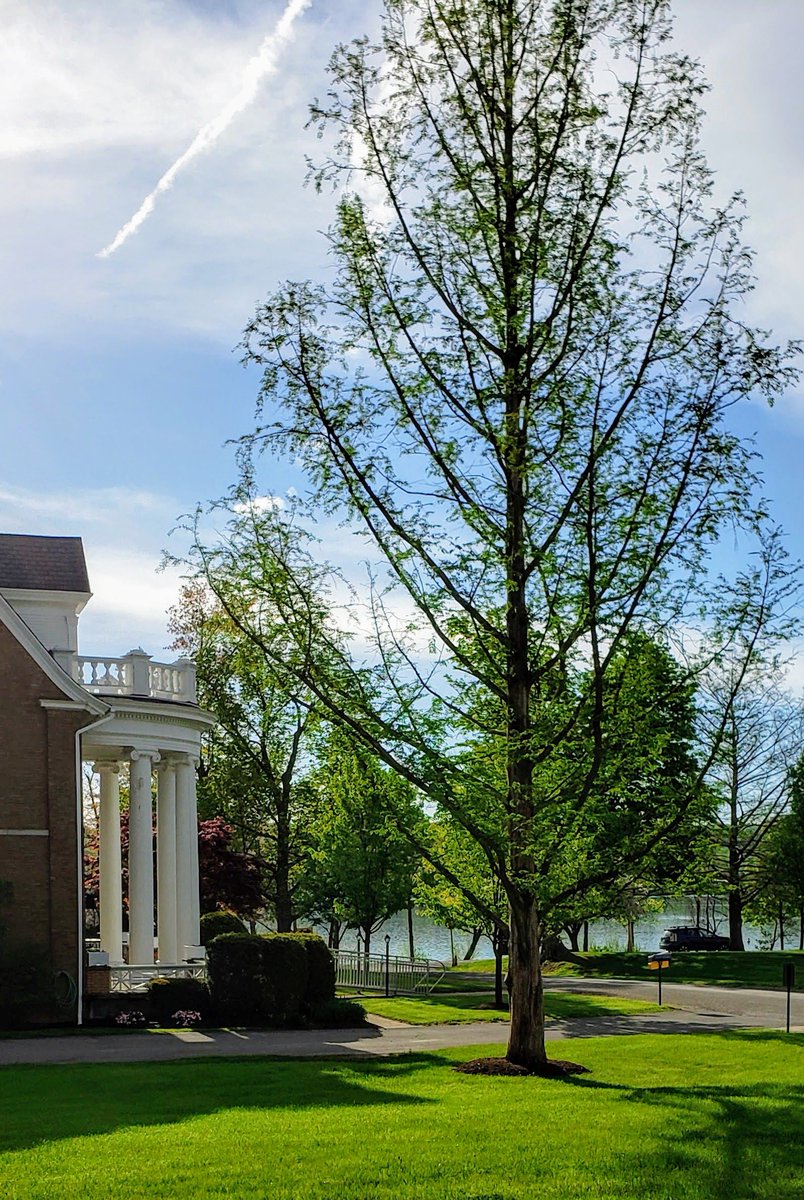 Tim_Sellers's tweet photo. The morning calm before the running of the Wolves. @KeukaCollege Commencement @KeukaClass_2019 https://t.co/YfpuR5Hisj