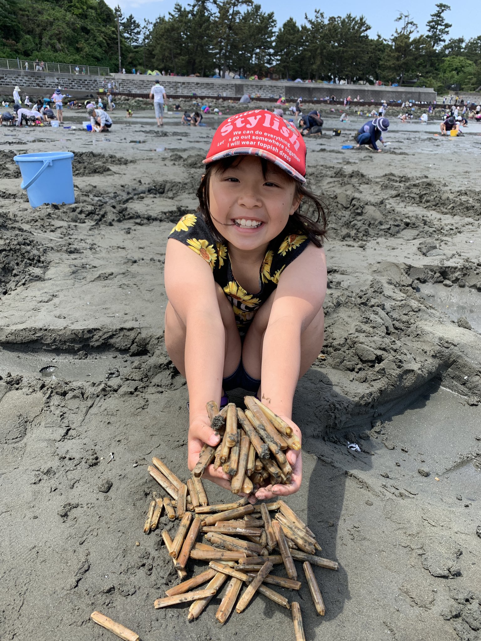 さかきゅう ナメロー隊長 野島公園でデカいマテ貝 爆っ 野島公園 潮干狩り マテ貝 横浜 さかきゅう ナメロー隊長 野島公園でデカいマテ貝 爆っ 野島公園 潮干狩り マテ貝 横浜