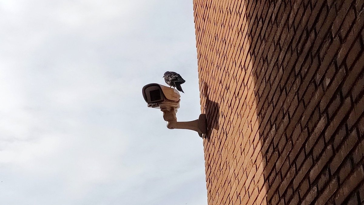 A volte le #cose sono più #Semplici di quello che si #pensa