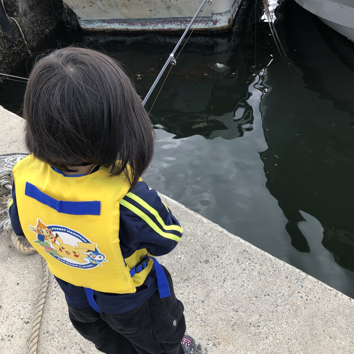 豊浜 海 釣り 公園