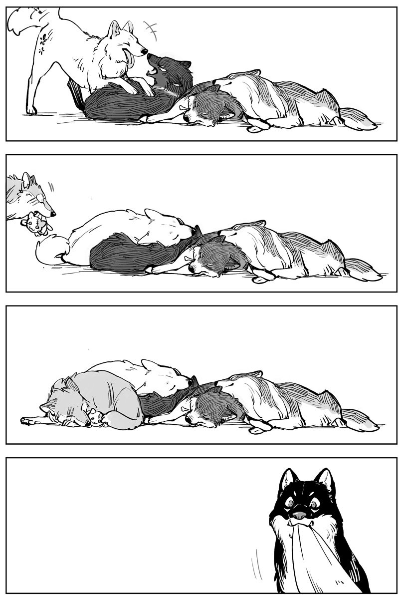 狼は序列が上のものを守るようにして寝る

#こりせんまん 