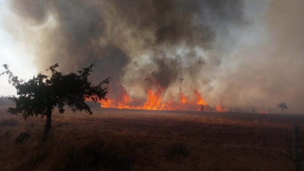 #Coahuila Así se ve en el incendio de la autopista #Saltillo-#Monterrey