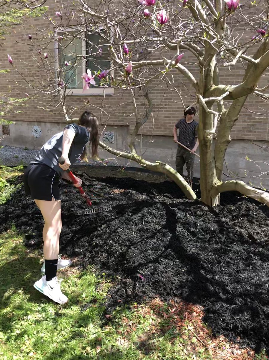 LMS1007's tweet image. Thank you to Matt Greene and his students for sprucing up our courtyard! @ACSDghosts @KylieMorgia  @clapperadmin @saintadmin