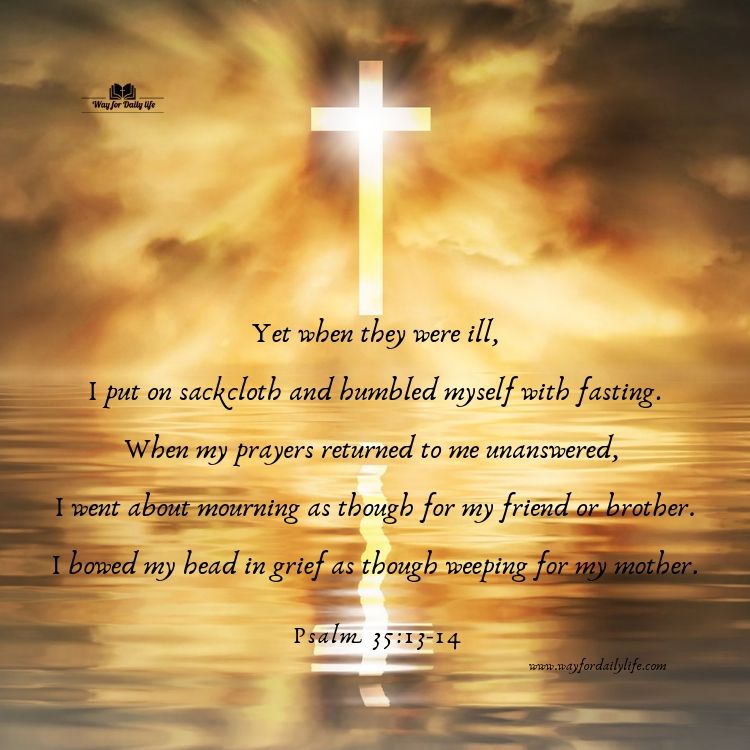 wayfordailylif3's tweet photo. Bible Verse #fasting #Pray #humbleandrepent #GodsWord #WillofGod https://t.co/cBDZeo3IZv